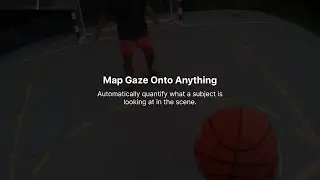 Map Gaze Onto Anything with Neon Eye Tracking