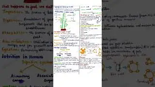 Biology notes*life processes*🔥#class10 #notes #trending #aesthetic