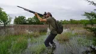 SOLO Starling Hunt!!! (Catch Clean Cook)