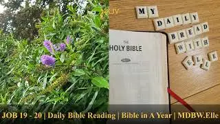JOB 19 - 20 | Daily Bible Reading | Bible in A Year | MDBW.Elle #Bible #AudioBible #Gospel #GoodNews