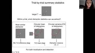 Ma Lab research talk: Visual search with heterogeneous distractors