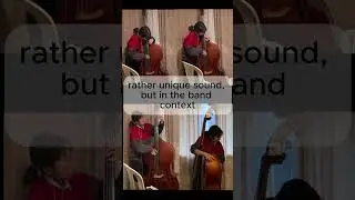 Chameleon (Upright Bass Quartet)