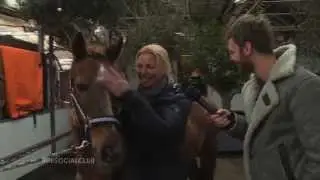 #DTV Pony scheren