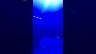 FIATP- World Destroyer 7.22.17