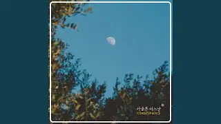Full Moon Light