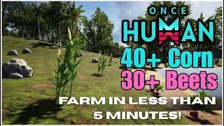 Corn and Beet Location in Once Human