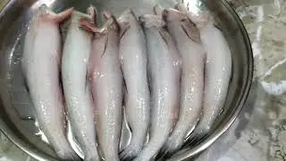 बोंबील साफ करायची सोपी पद्धत | How To Cut & Clean Bombil At Home | Bombay Ducks Fish Cleaning