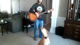 Seamus the singing dog