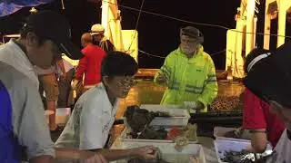 SJADES 2018, THE EVENING