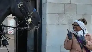 😍🐴 Момент, когда лошадь смотрит на нее, пока она позирует‼️