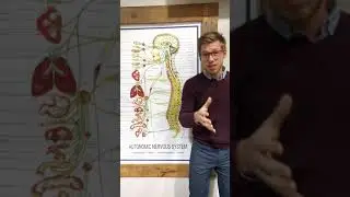 Natural anxiety relief in Monmouth and Ocean County NJ