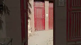 6 /12/24 vajirpur patodi road Gurgaon