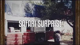 Safari Surprise