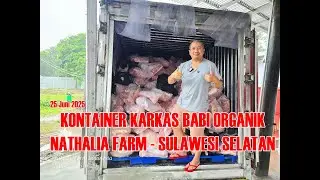 KONTAINER KARKAS BABI ORGANIK SULAWESI SELATAN