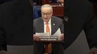 Schumer Unveils Democrats' Proposal to End Shutdown
