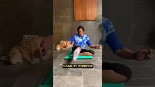 Mobility exercises Ft.Anshu Aggarwal 💪🏻 #fitnessmotivation #mobilityexercises #mobilitytraining