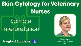 Skin Cytology for Veterinary Nurses Part 3: Dermatology Sample Interpretation