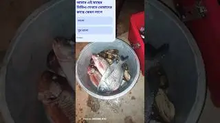 আন্দামান সাগরে হুক ফিশিং! #fish #hookfishing