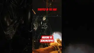 Marine Trapped With Xenomorphs ⚔️ - AvP 2010 #shorts #gameplay #alien #xenomorph #avp