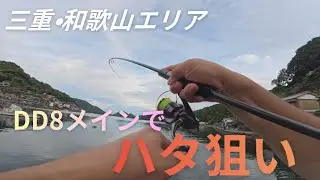 ハタを探す旅｜三重・和歌山【DAY2④】