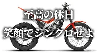 SINCROの休日｜店長と土偶のゆるふわ解説：Beta 120年の伝統を、南砺市の笑顔で解き明かす。