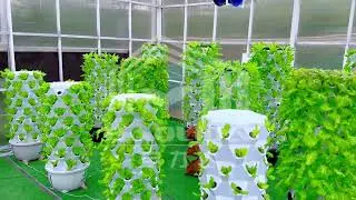 Stocked 65L 6 Layer 48 Plant Holes Hydroponic Growing Tower With Drip Nutrient Delivery