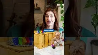 What is the Montessori Philosophy on Discipline? Let's talk about it!