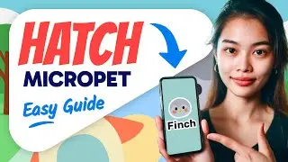 How to HATCH MICROPET in Finch (Step by Step)