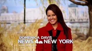 NBC News 4 New York Winter Weather - Domenica Davis 5