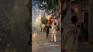 La V&iacute;bria de Tarragona &rdquo;La Serrallenca&rdquo;