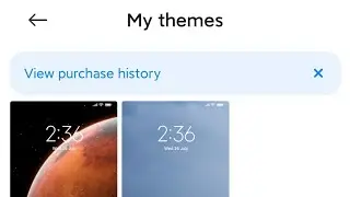 how to change theme in poco x2, poco x3