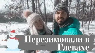 Зимовка в Глевахе. Неожиданная встреча в лесу