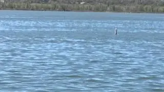 Cherry Creek Reservoir handicap fishing access