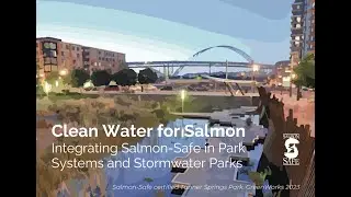 Clean Water for Salmon: Integrating Salmon-Safe in Park Systems and Stormwater Parks