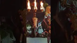 Panchavadyam✨                    #melam #instrumental #tradition #kerala #elephant #pooram #culture
