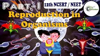 Reproduction in Organisms | #12thNCERT | #NEET | All Medical Exams | #Reproduction | #AIIMS |#NCERT