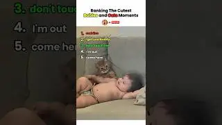 Babies and Cats