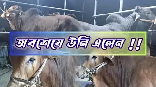 আল্লাহর রহমতে অনেকদিন পর খামারে নতুন গরু | #qurbani2026 