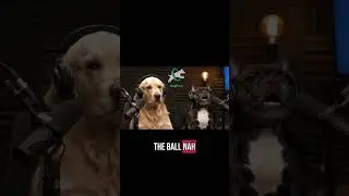 Find new spots to throw the ball on DogPack App 🐾😉
