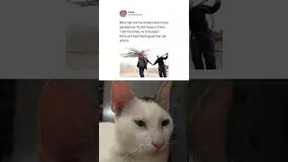 #viralboy