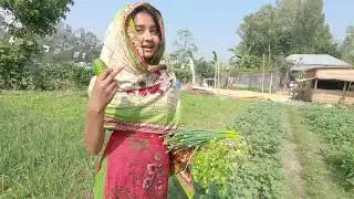 পিয়াজের ফুল | Doyel Agro
