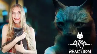 FIRST REACTION (Starring MY CAT Twinkle) | Stray Gameplay Trailer