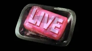 MYLIVECHANNEL LIVE LOGO