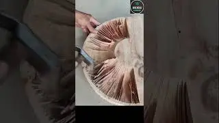 Veja como fazer uma gamela com serra circular
