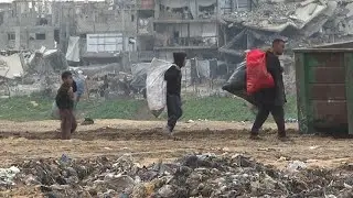 Les organisations humanitaires alertent sur des conditions mortelles à Gaza faute de carburant