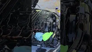 Engine Bay Transformation #mechanic #detailing