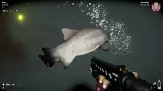 I finally beat death in the water 2..final boss the kraken an jaws revenge  , stay out of the ocean