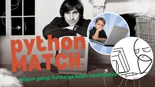PYTHON MATCH VA CASE (4K)