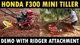 Honda Mini Power Tiller Making Trench at the Basin of Coconut Tree | Honda F300 Ridger Attachment