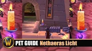 [WOW] Pet Guide: Nethaeras Licht